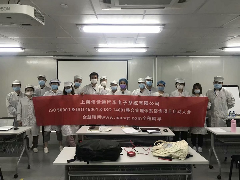 【案例1】Visteon上海伟世通汽车电子系统有限公司.jpg