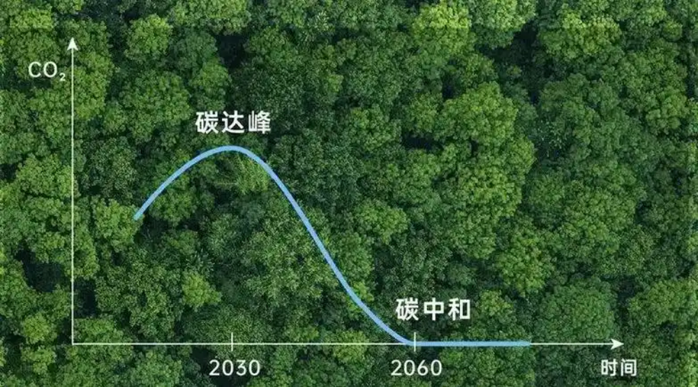 双碳-3.png